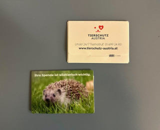 Pflasterbriefchen Tierschutz Austria